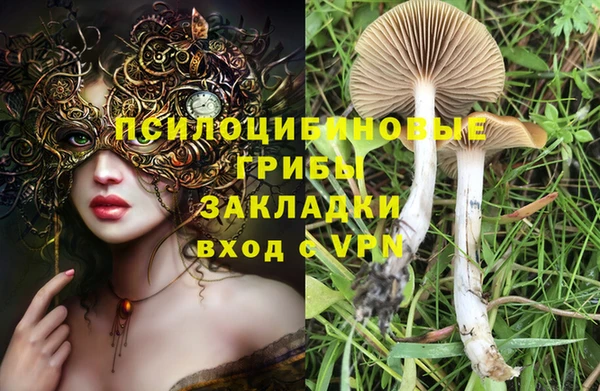 мдма Ладушкин