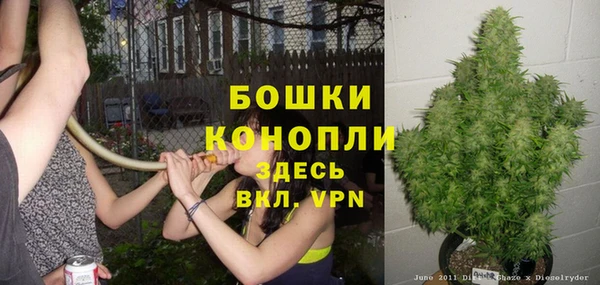 прущие крисы Надым