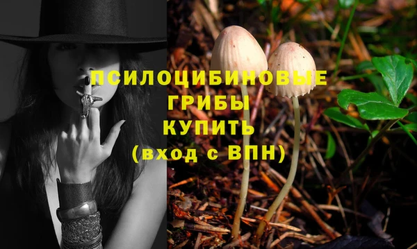прущий лед Липки