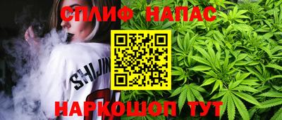 Альфа ПВП Кандалакша