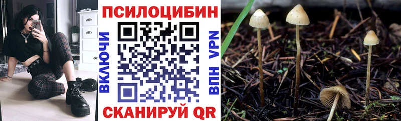 ОМГ ОМГ   Чапаевск  Псилоцибиновые грибы MAGIC MUSHROOMS 