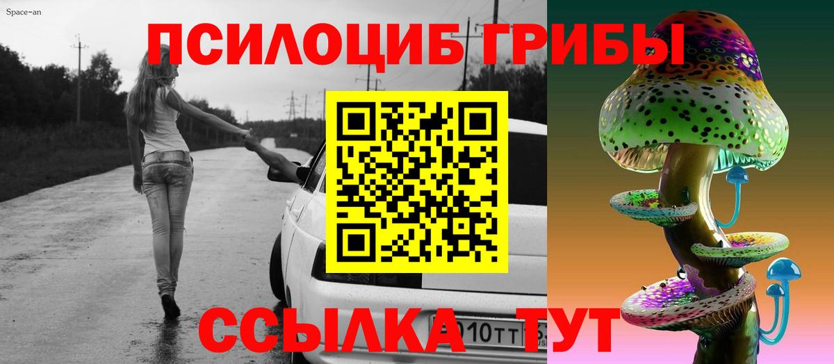 Псилоцибиновые грибы мицелий Чапаевск