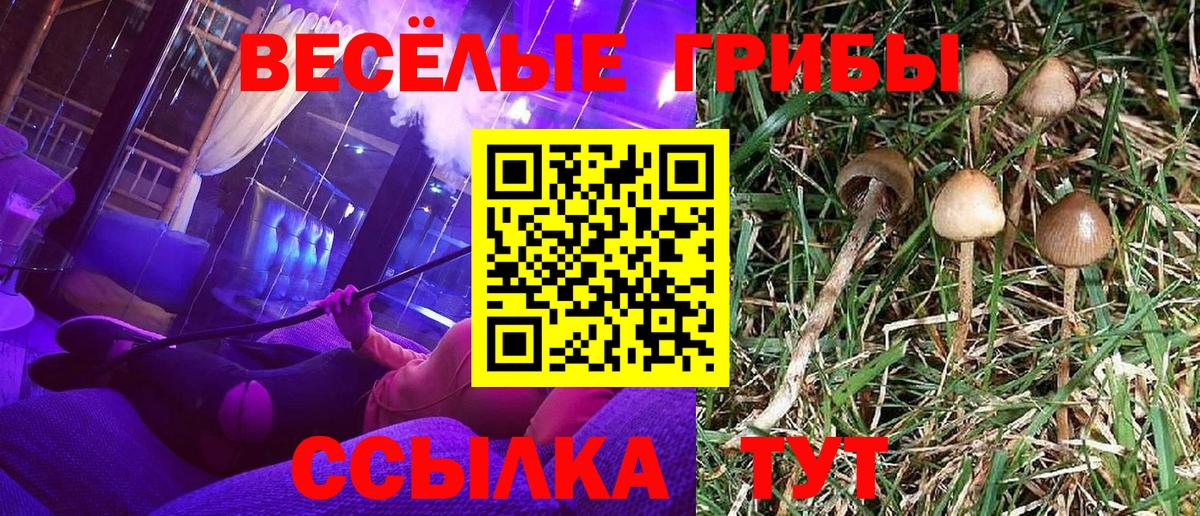 Псилоцибиновые грибы GOLDEN TEACHER  Чапаевск  Галлюциногенные грибы Psilocybe 